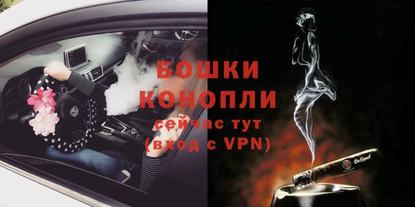 МДПВ Лиски