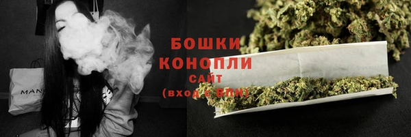 МДПВ Лиски